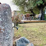 Domaine De Tappa - Casa Filicina 别墅