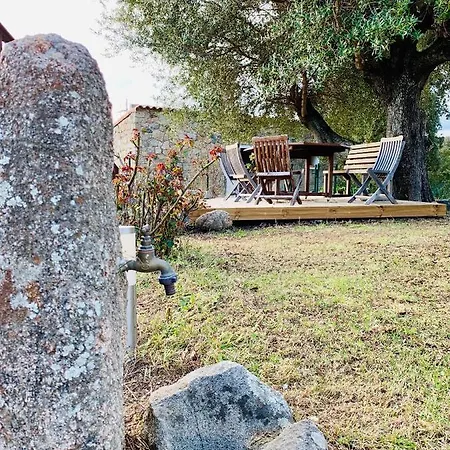 Domaine De Tappa - Casa Filicina Villa