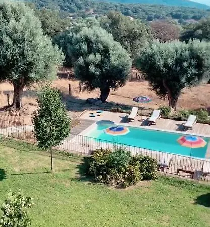 Villa Domaine De Tappa - Casa Filicina *