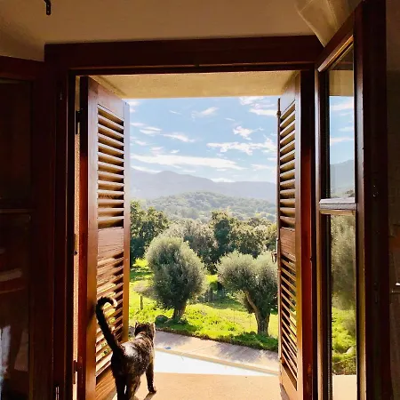 Domaine De Tappa - Casa Filicina Villa *