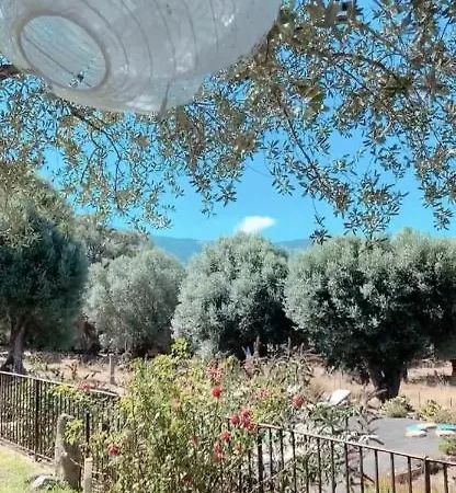 Domaine De Tappa - Casa Filicina Villa