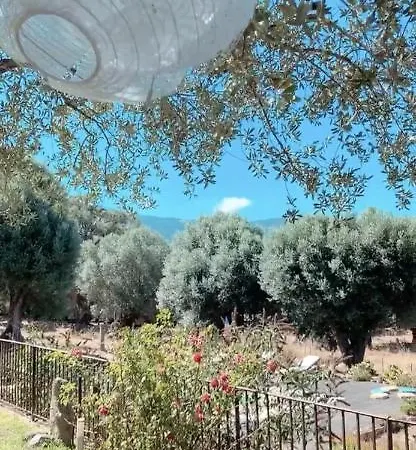 Domaine De Tappa - Casa Filicina فيلة