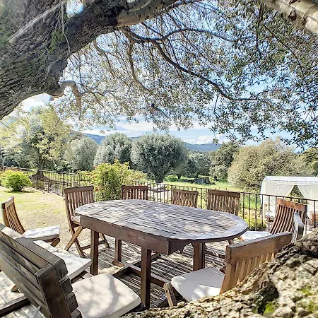 Domaine De Tappa - Casa Filicina