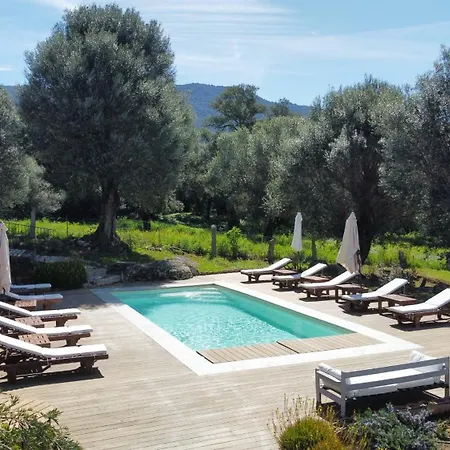 Domaine De Tappa - Casa Filicina Villa *