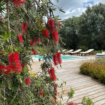 Domaine De Tappa - Casa Filicina Villa Sollacaro