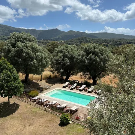 Villa Domaine De Tappa - Casa Filicina Sollacaro