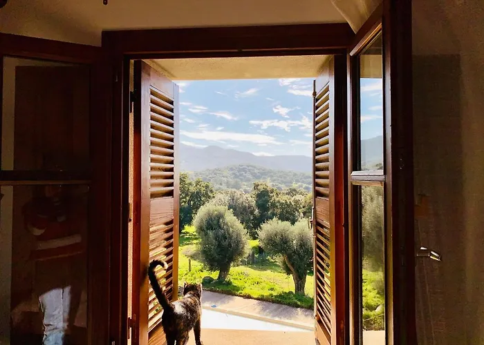 Domaine De Tappa - Casa Filicina Villa *