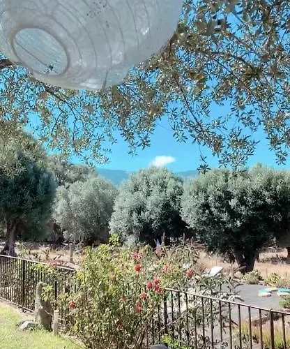 Domaine De Tappa - Casa Filicina Villa