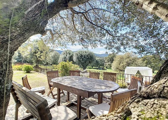 Domaine De Tappa - Casa Filicina