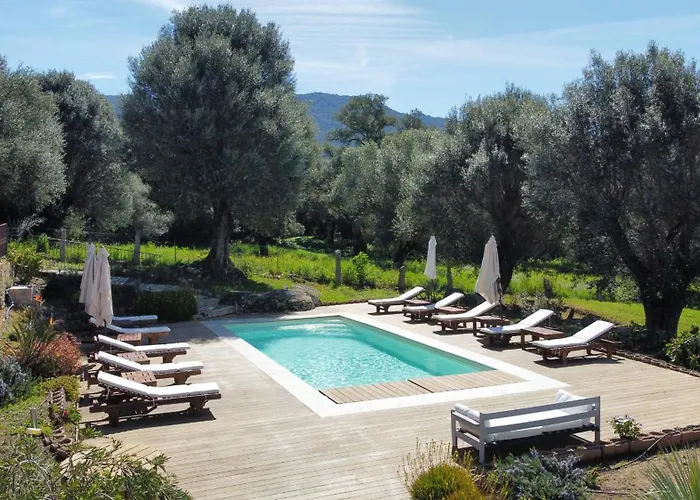 Domaine De Tappa - Casa Filicina Villa *