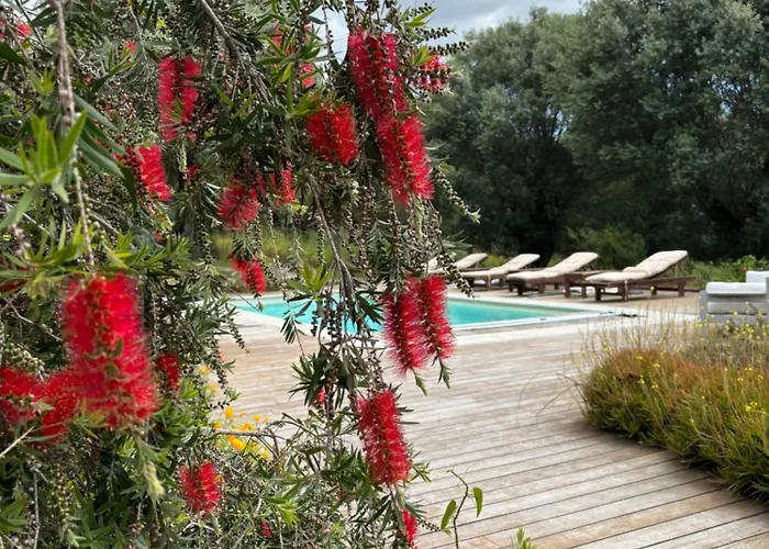 Domaine De Tappa - Casa Filicina Villa Sollacaro