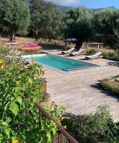 Villa Domaine De Tappa - Casa Filicina *