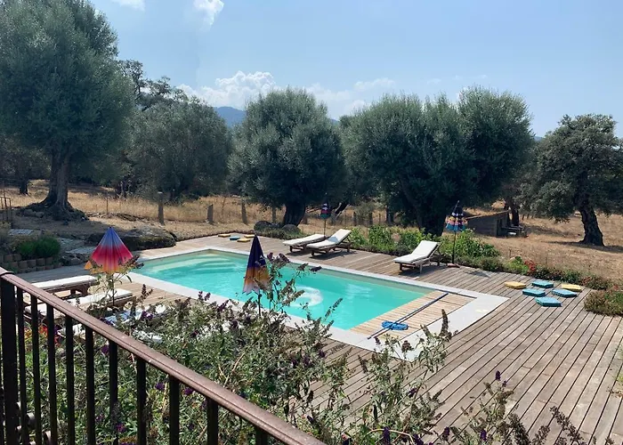 Domaine De Tappa - Casa Filicina * Sollacaro